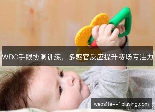 WRC手眼协调训练，多感官反应提升赛场专注力